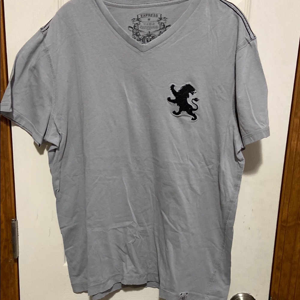 Express Gray V-Neck Men's Shirt